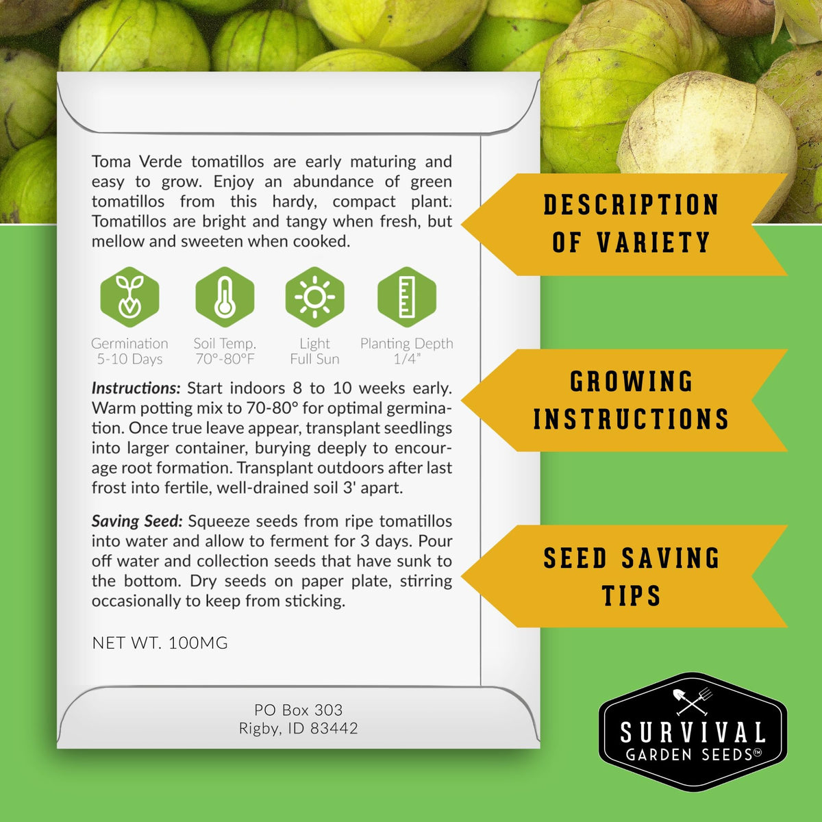SURVIVAL GARDEN SEEDS Toma Verde husked tomatillos on vine.