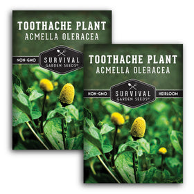 SURVIVAL GARDEN SEEDS Toothache Plant seeds with vibrant flowers for pollinator-friendly beds.