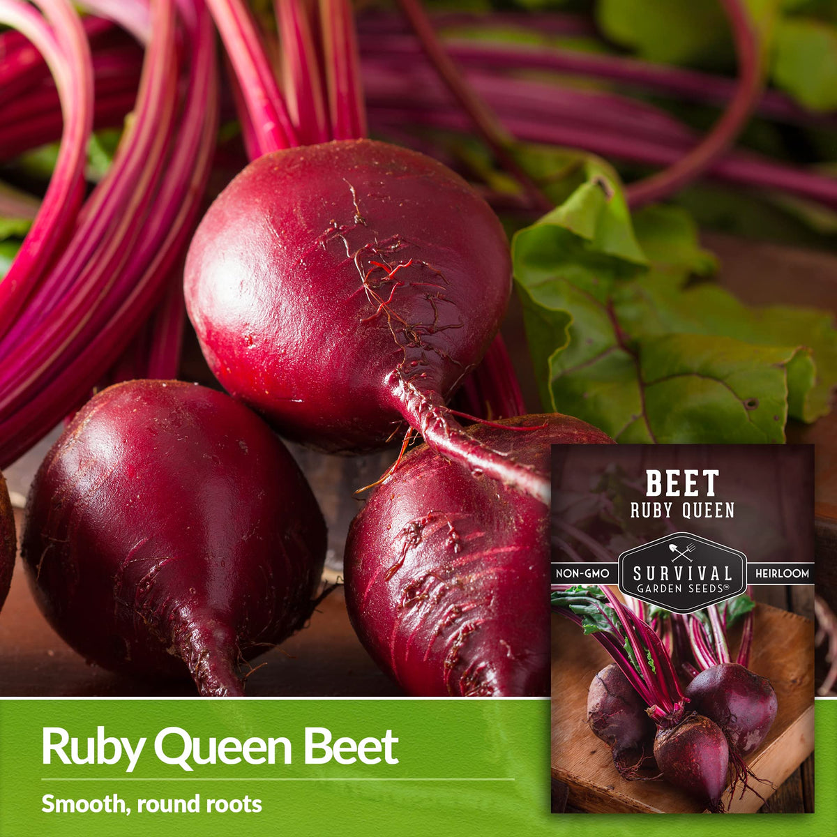 Uniform round beets with glossy surfaces for neat rows.