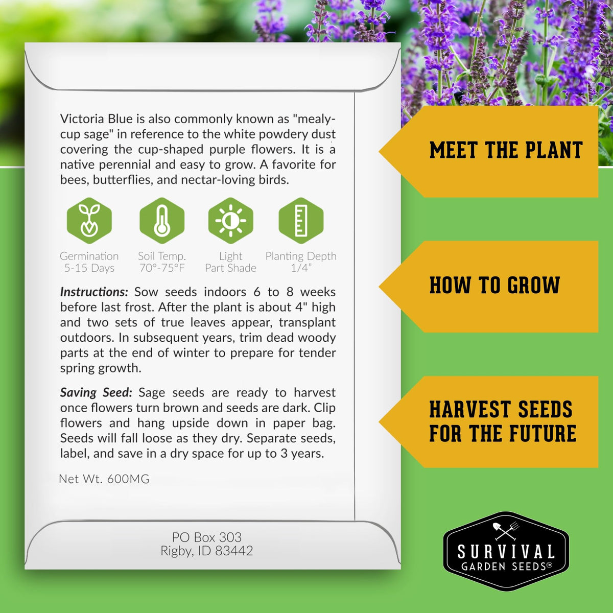 Survival Garden Seeds Victoria Blue Sage seed packets back with planting instructions for beginners