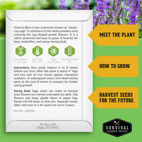 Survival Garden Seeds Victoria Blue Sage seed packets back with planting instructions for beginners