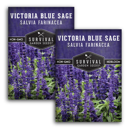 Survival Garden Seeds Victoria Blue Sage seed packets front view, ideal for drought-tolerant gardens