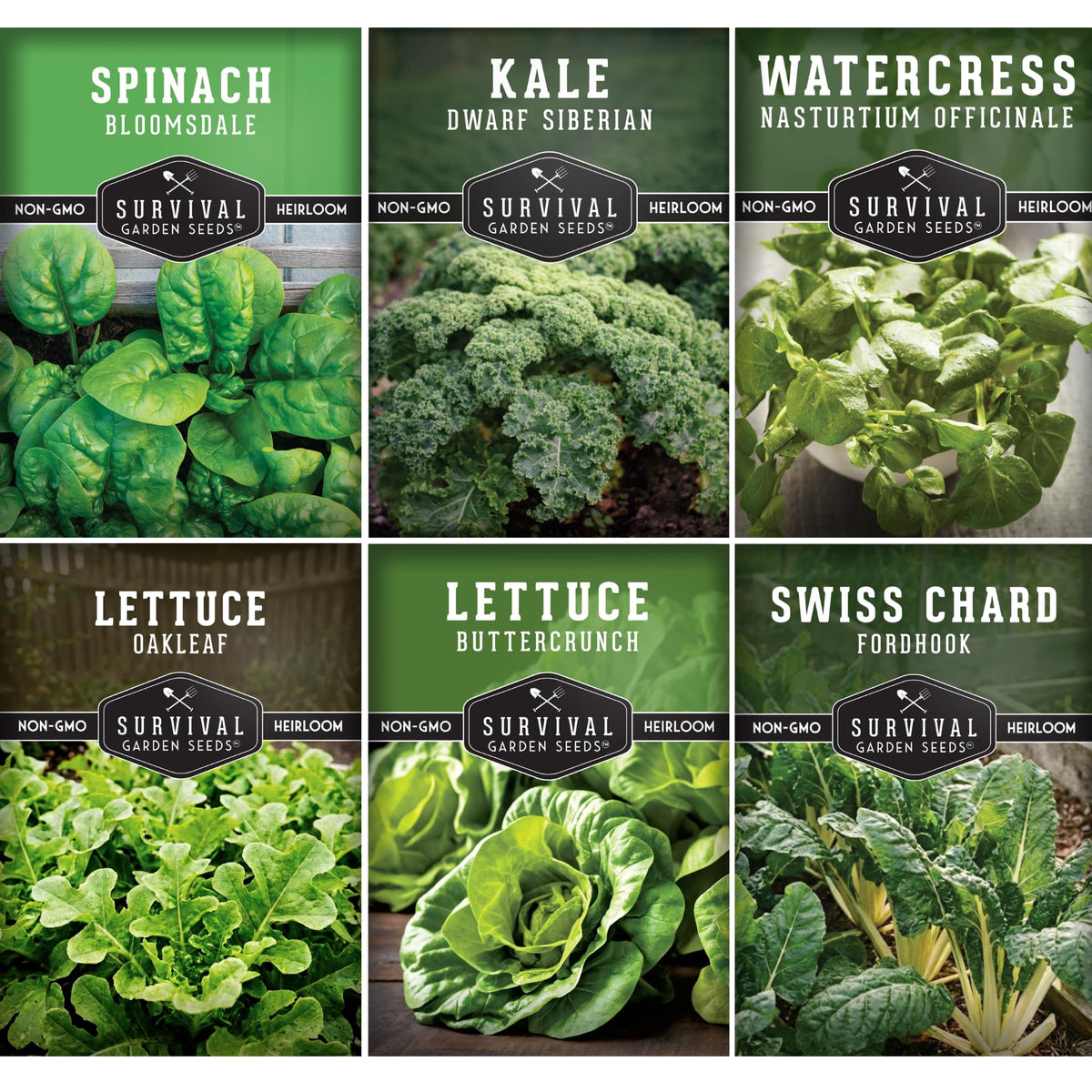 SURVIVAL GARDEN SEEDS watercress seed pack, indoor hydroponics for year-round harvest