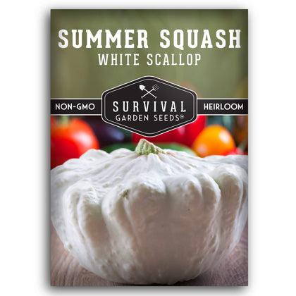 Survival Garden Seeds white scallop patty pan harvest-ready fruits for fresh meals.