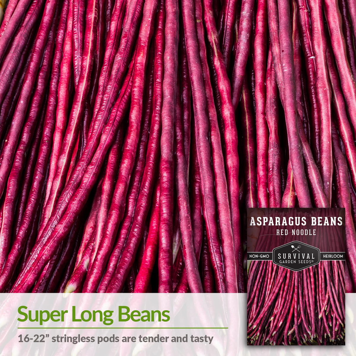 SURVIVAL GARDEN SEEDS pods twelve-to-eighteen inches on a climbing vine for fresh stir-fries.