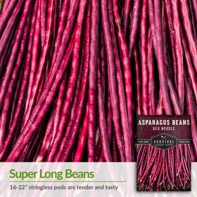 SURVIVAL GARDEN SEEDS pods twelve-to-eighteen inches on a climbing vine for fresh stir-fries.