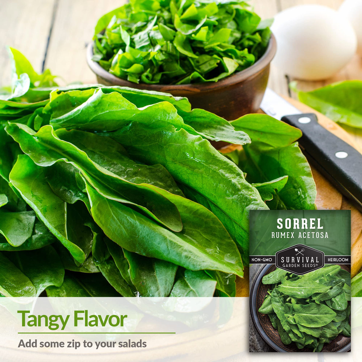 SURVIVAL GARDEN SEEDS sorrel leaf close-up with large leaves for salads.