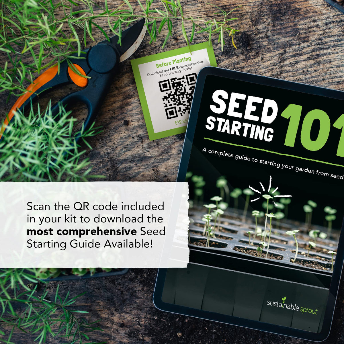 Sustainable Sprout Bachelor Button seeds packets for decorative edible blooms on plates