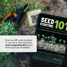 Sustainable Sprout Bachelor Button seeds packets for decorative edible blooms on plates