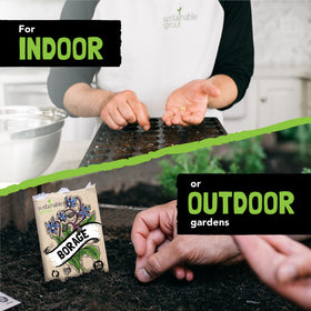 Sustainable Sprout Nasturtium seeds packets for peppery edible blooms in dishes