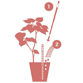 Sustee Aquameter color indicator blue and white shows watering status.
