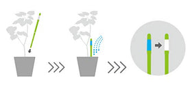 Sustee Aquameter color indicator white-blue signals irrigation status at a glance.