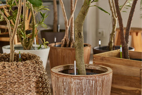 Sustee Aquameter for house plants enables cleaner maintenance and watering routines.