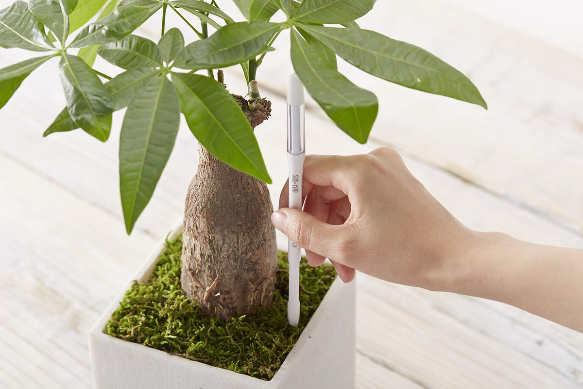 Compact Aquameter dimensions fit tiny pots for small plants.