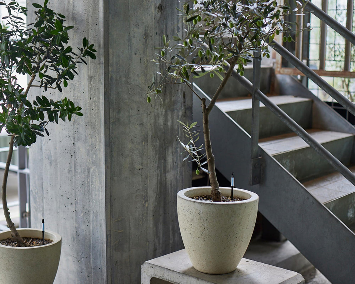 Sustee moisture indicator placed beside black pots to match interior design