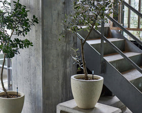 Sustee moisture indicator placed beside black pots to match interior design
