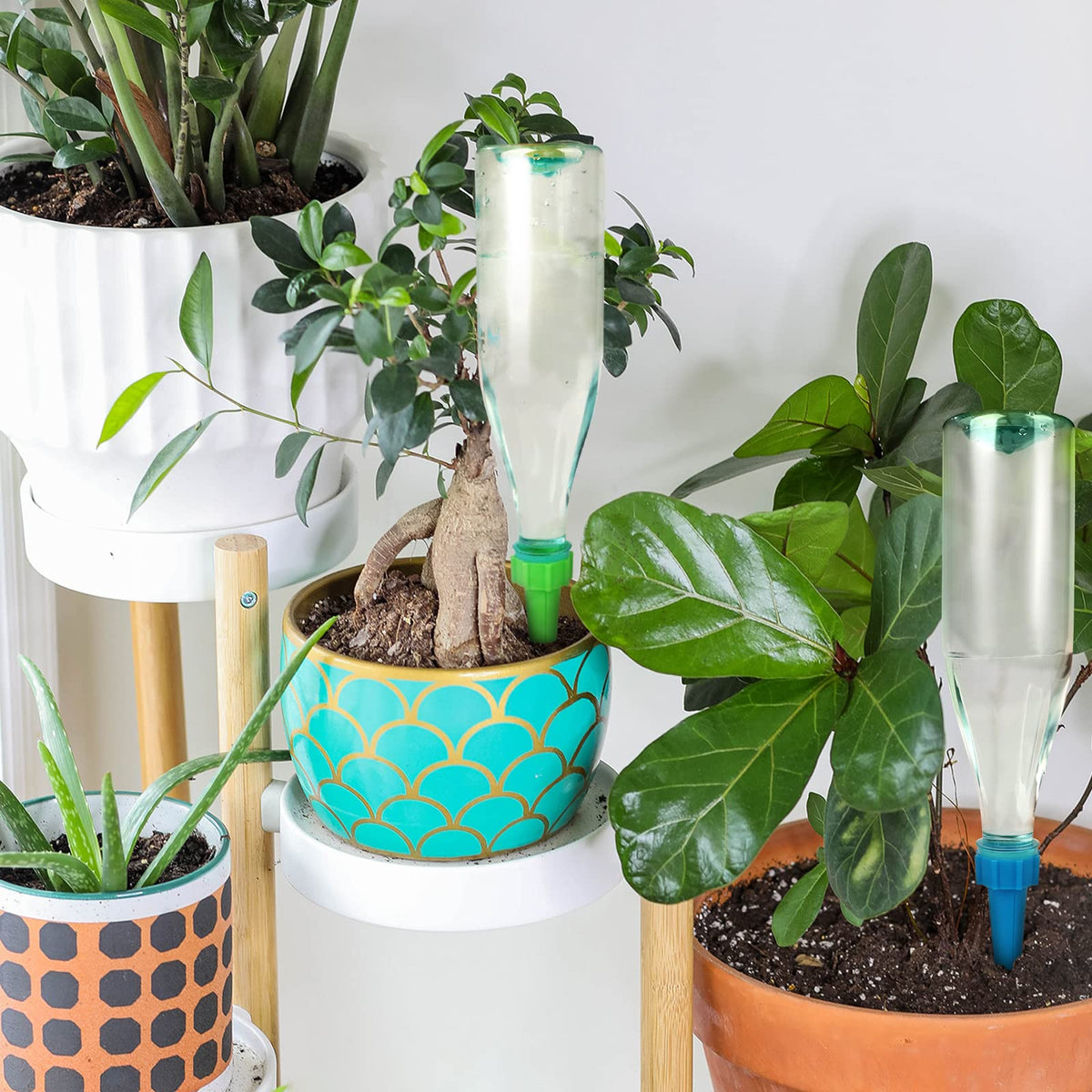 Outdoor garden pot with SusuBee spikes providing irrigation setup