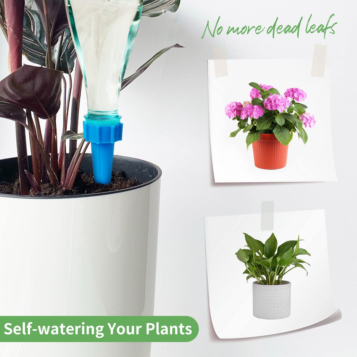 12-pack SusuBee plant irrigation spikes shown in a home garden setup