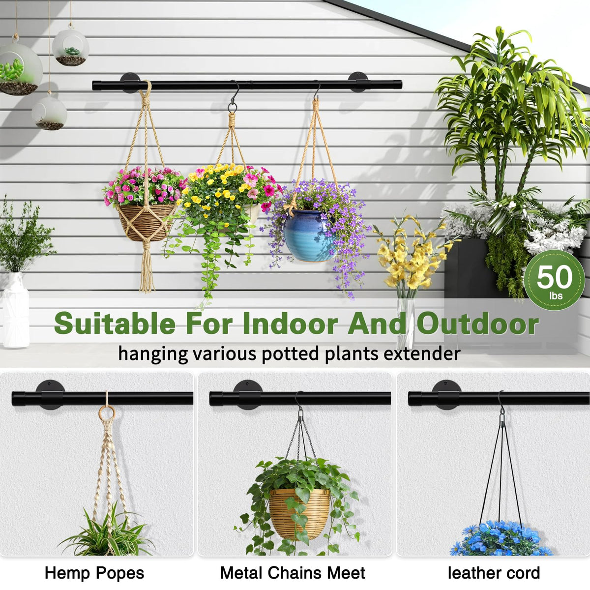 SUTINE multi-scene plant display fits window, wall, or ceiling setups.