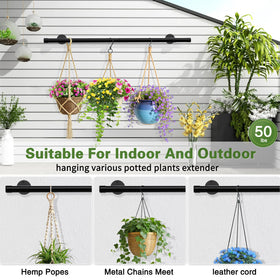 SUTINE multi-scene plant display fits window, wall, or ceiling setups.