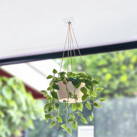Suwimut indoor-outdoor ceiling hanger suited for varied spaces