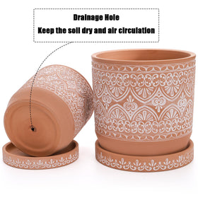 Suwimut pot with drainage hole ensures proper watering and root health.