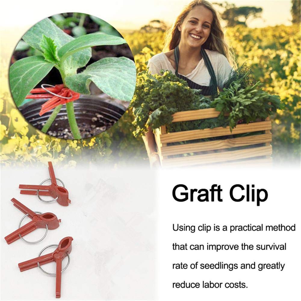 Suxgumoe durable plastic graft clips designed for long-term use