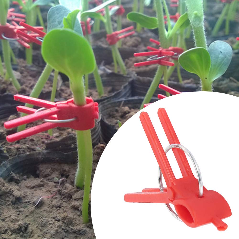 Suxgumoe clips for seedlings provide gentle support during grafting