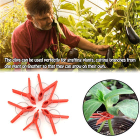 Suxgumoe round-mouth graft clips used for clean, damage-free grafting