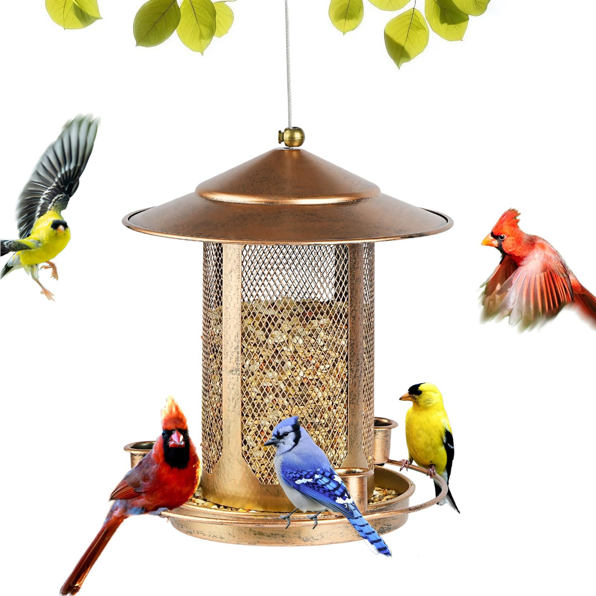 Suyue Y bird feeder showing 4lb capacity with spacious seed tray for multiple birds.