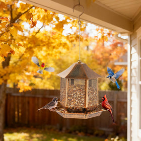 Suyue Y hexagon gazebo-style feeder suits patios and yards.