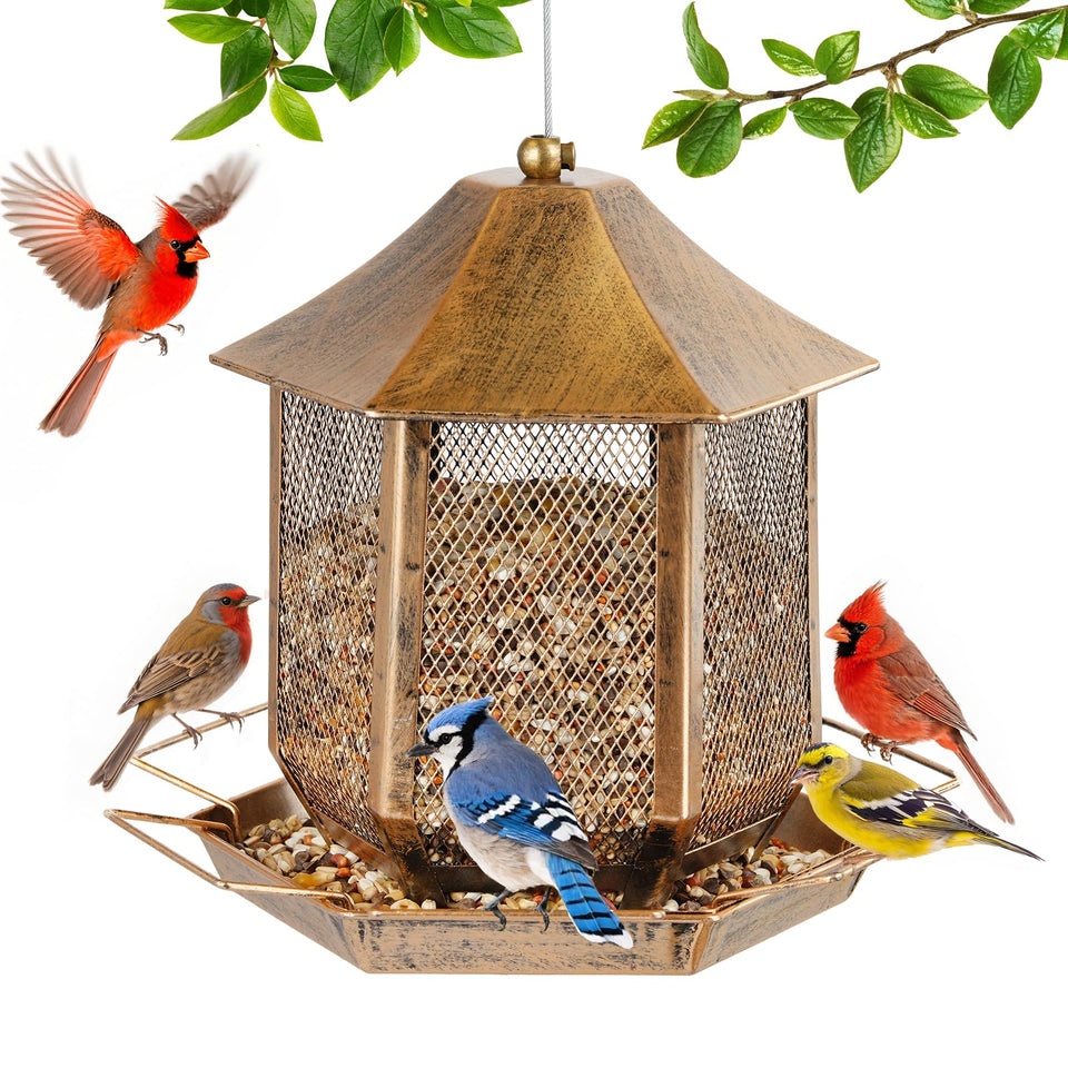 Suyue Y bird feeder with hexagon roof shelters seeds outdoors.