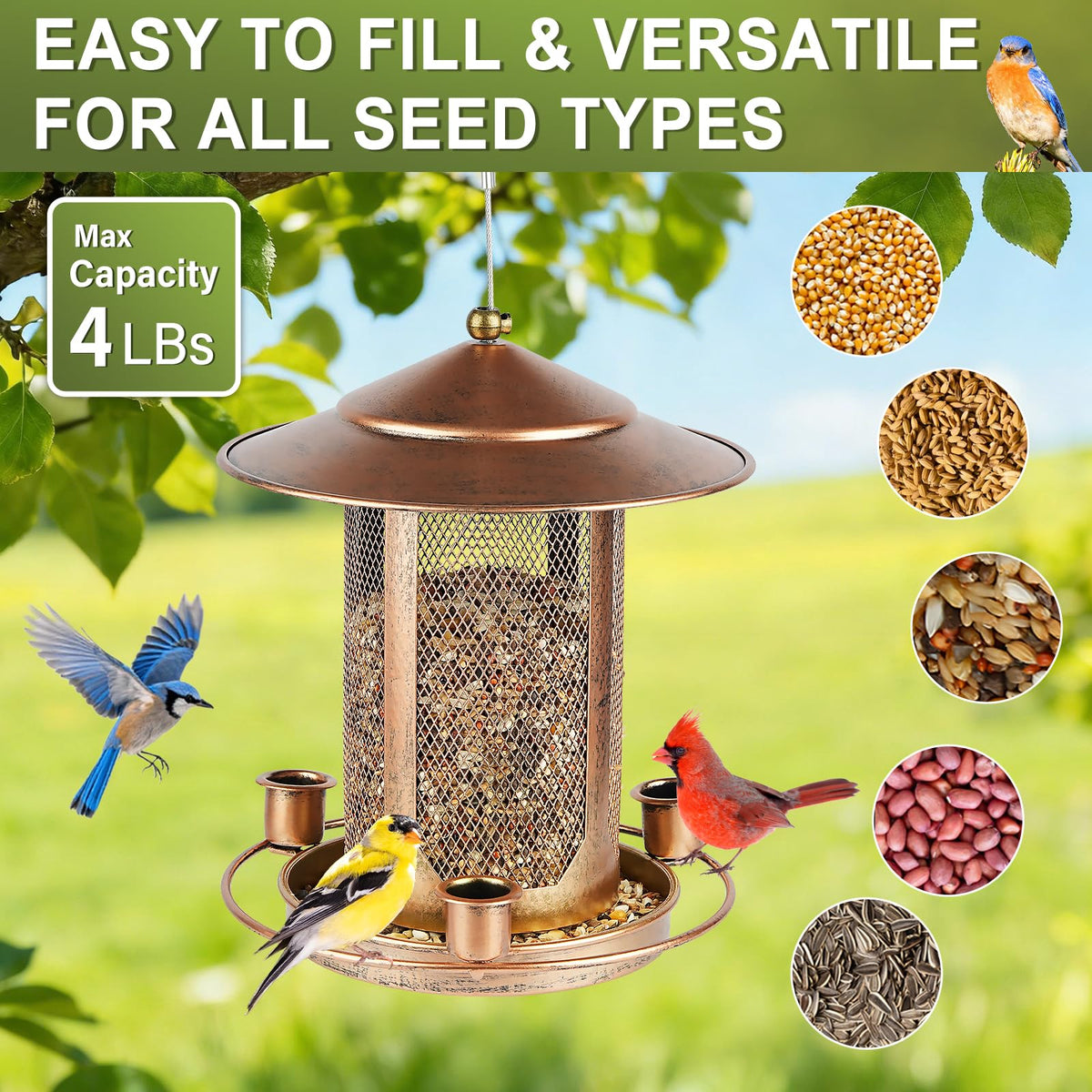 Suyue Y bird feeder with large roof shelter guarding seeds from weather.
