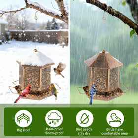 Suyue Y outdoor feeder attracts a variety of birds.
