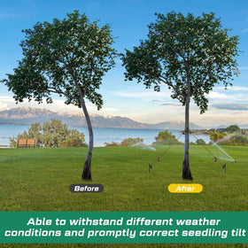 Suzile 13.12 ft ropes anchor trees for wind resistance and stability.