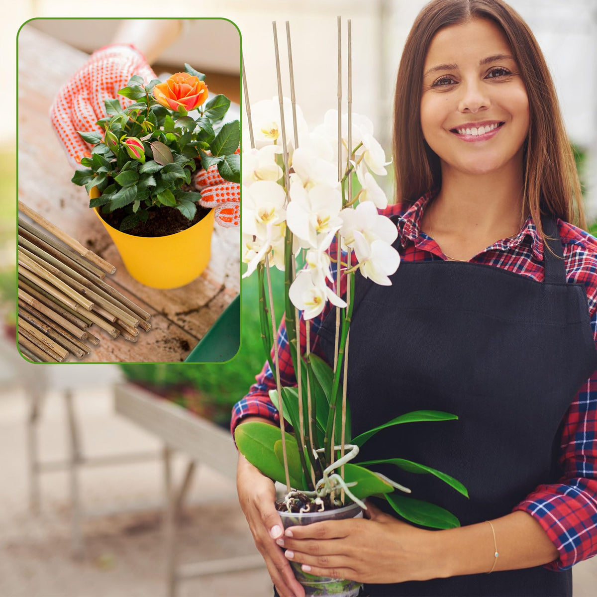 Suzile bamboo stake shown as a durable, reusable garden tool.