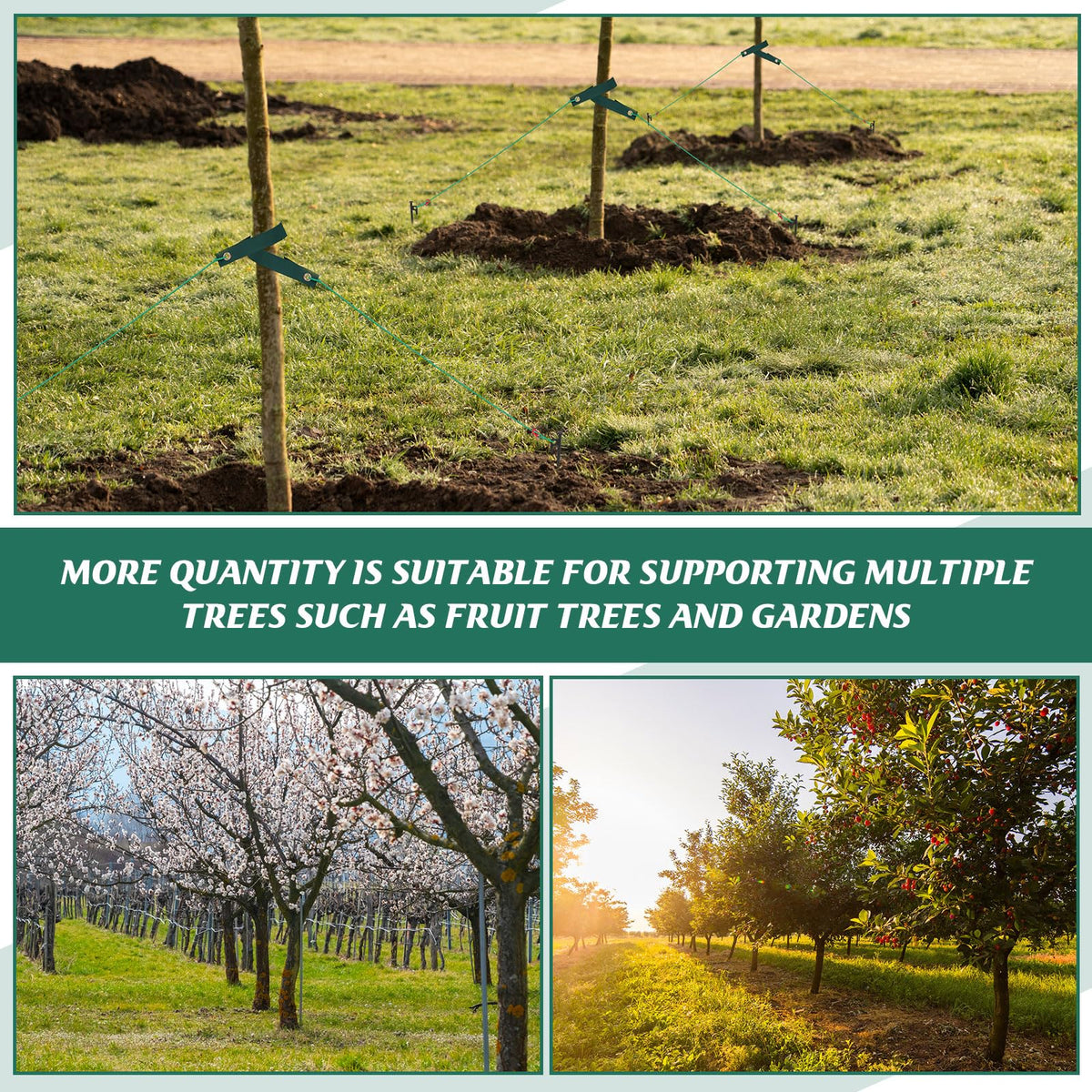 Suzile complete kit for staking, straightening, and protecting saplings.