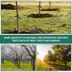 Suzile complete kit for staking, straightening, and protecting saplings.