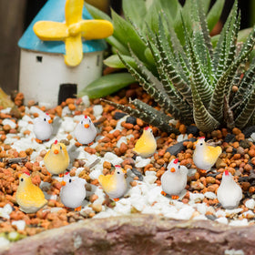 Suzile mini chickens as party favors and gifts.
