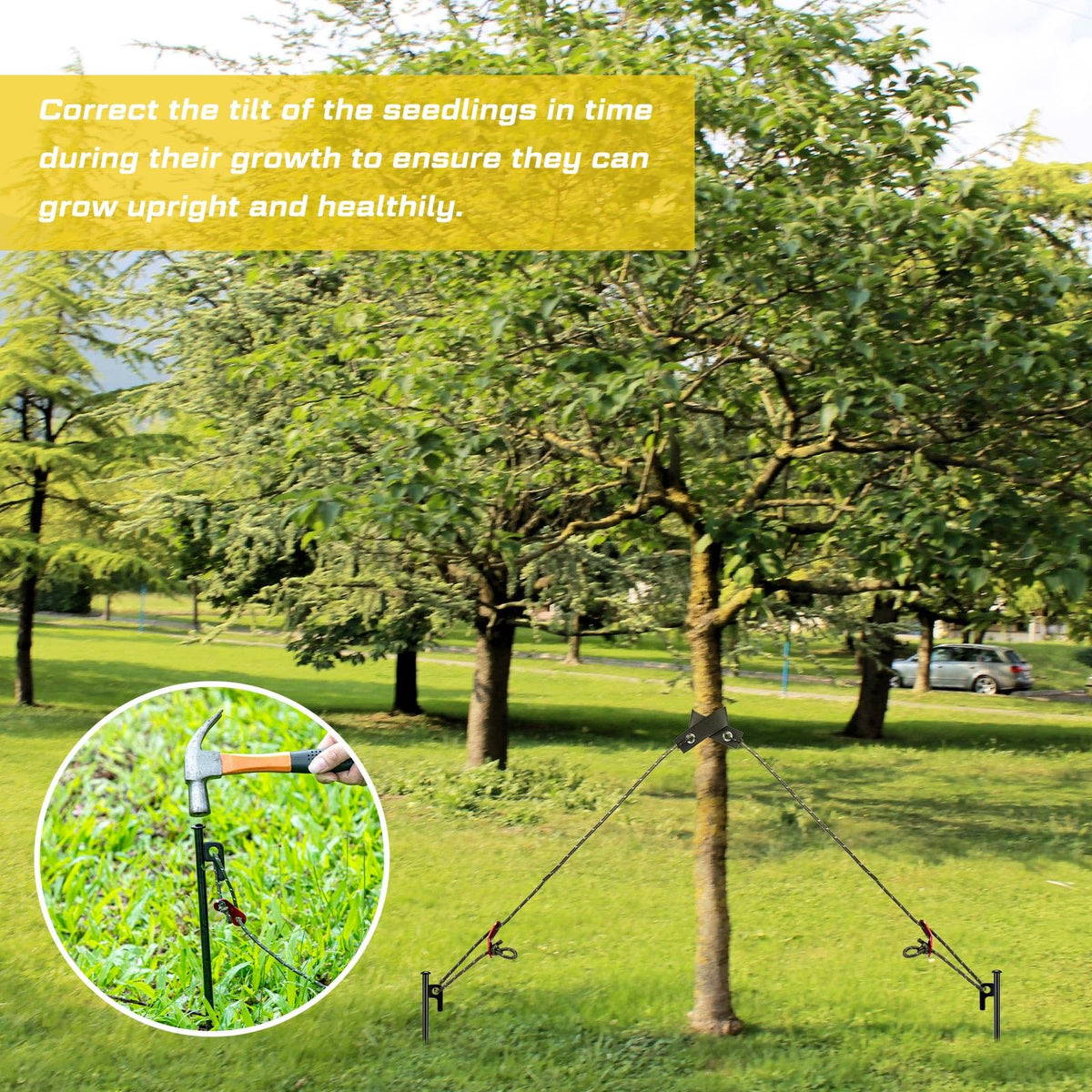 One-person installation: Suzile tree staking kit demonstrated for easy setup.