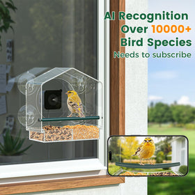 Svanur window bird feeder captures 2K video of birds.