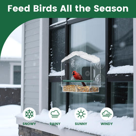 Svanur AI recognition identifies bird species during visits.