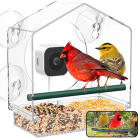 Svanur window bird feeder front view for close-up bird watching.