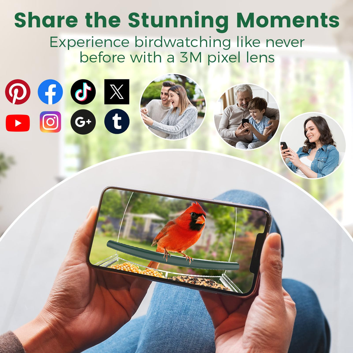 Svanur real-time alerts notify you of bird visits.