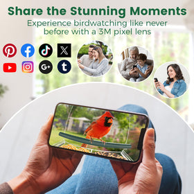Svanur real-time alerts notify you of bird visits.