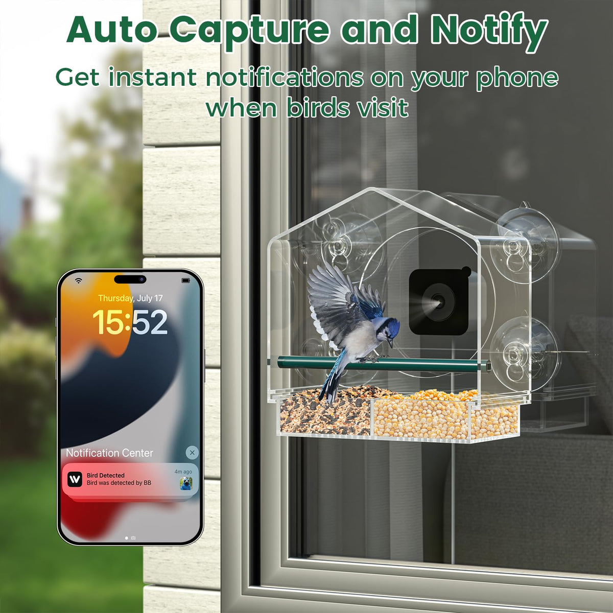 Svanur window feeder with strong suction cups for stability.