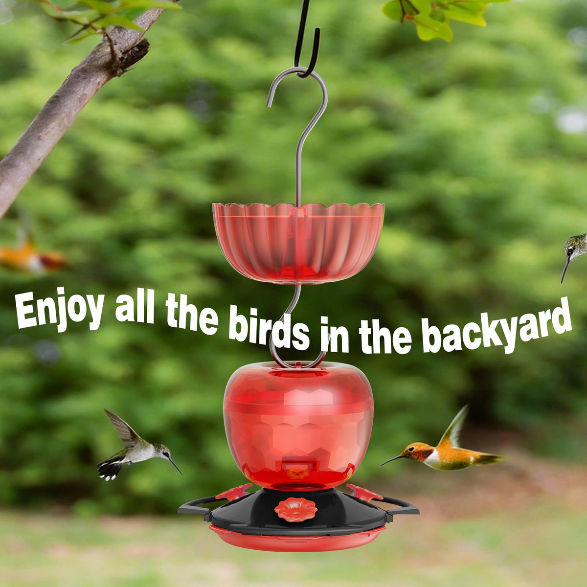 SVEDVK Hummingbird Feeder Ant Moat System includes two protective cups.