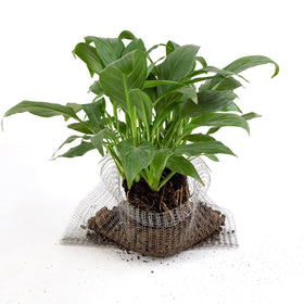 Svepndic packaging shows eight baskets for versatile use.