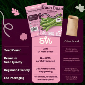 Heat-tolerant SVI 30 Contender beans thriving in warm weather