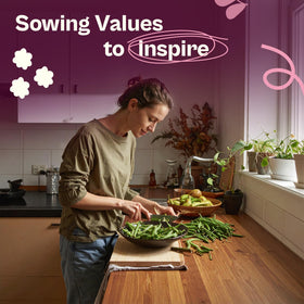 Heirloom variety SVI 30 Contender for outdoor gardens and containers